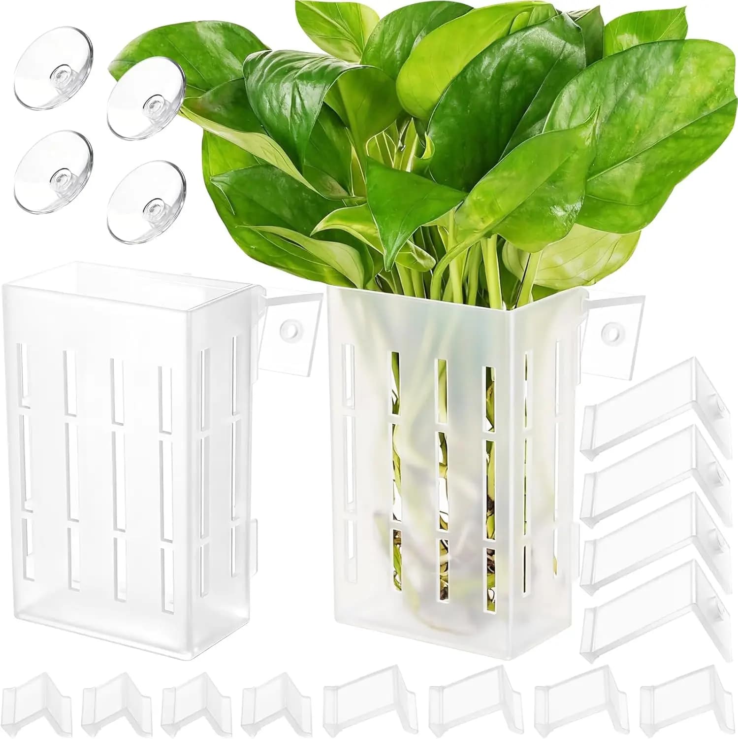 Supporto Grande per Piante Acquatiche con Ganci e Ventose per Acquario, Coltivazione Acquaponica e Decorazione Acquascaping (Semitrasparente)