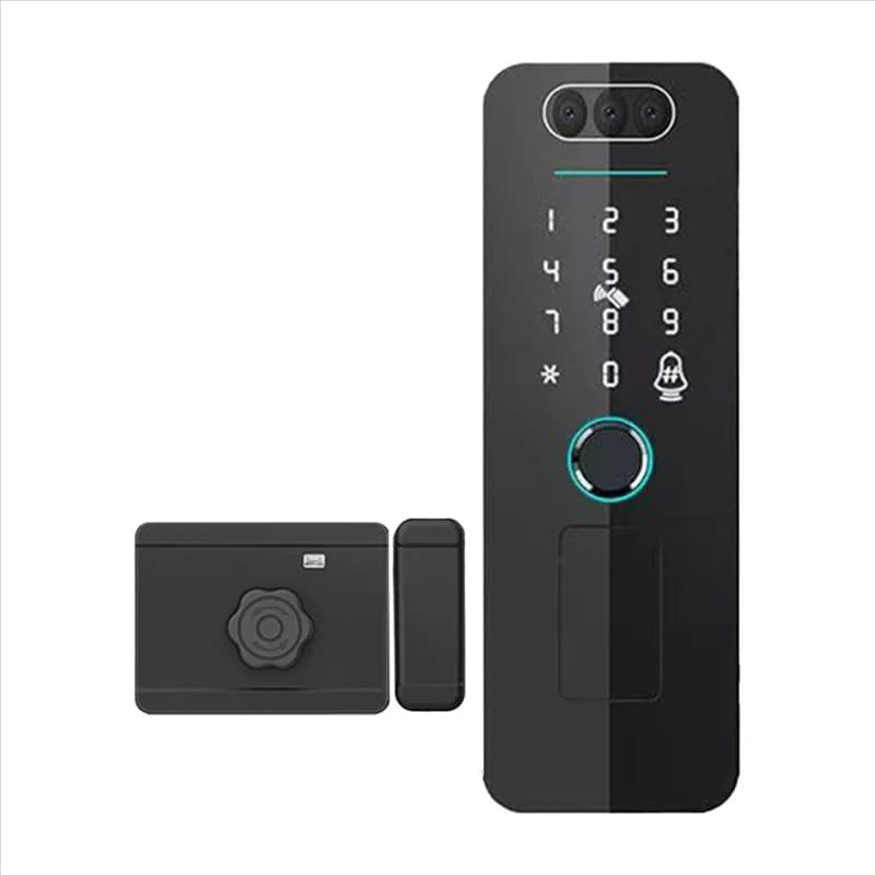 A92Z Tuya Impronta digitale RFID Card Password Smart Wifi Serratura APP Controllo Riconoscimento facciale Impermeabile