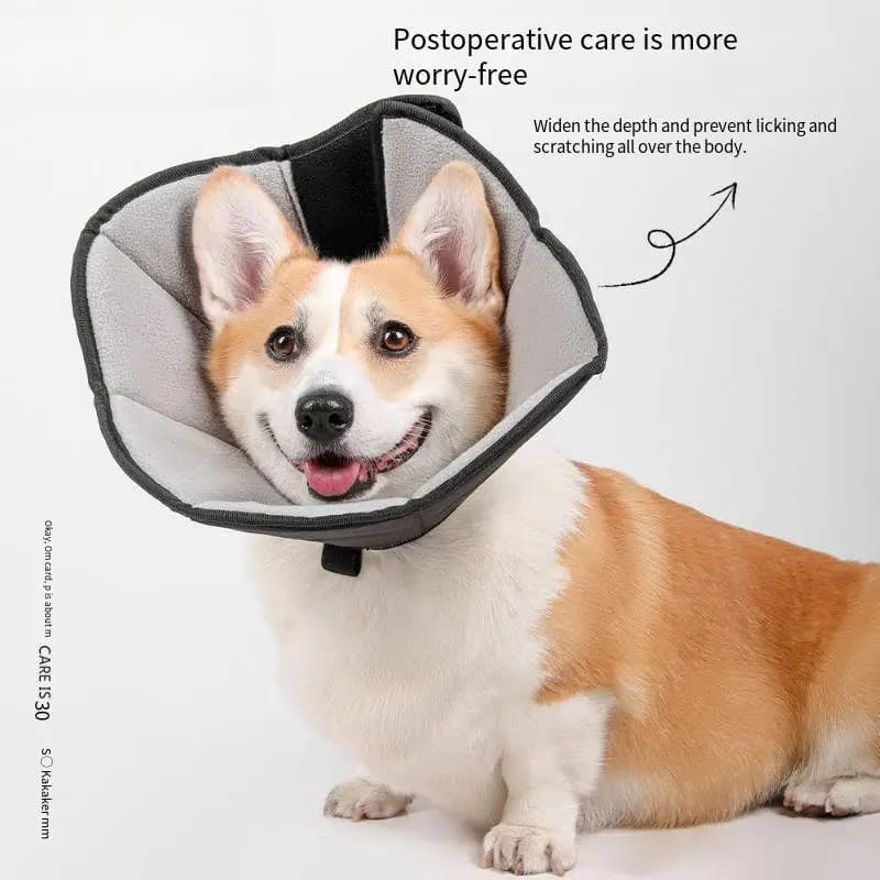 Cono per animali post-chirurgico 2025 - Collare elisabettiano extra spesso per cani/gatti - Collare elettronico per recupero resistente ai morsi (all'ingrosso)