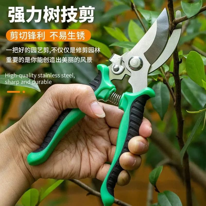 Stainless Steel Professional Pruning Shears – Sharp for Branches, Fruit Trees & Flowers, Ideal Gardening Tool for Home Use