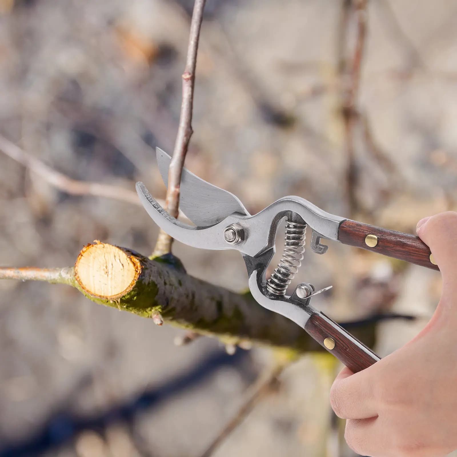 Forbici da Potatura Professionali in Acciaio al Carbonio per Alberi, Arbusti e Fiori, Utensile Efficiente con Impugnatura Facile