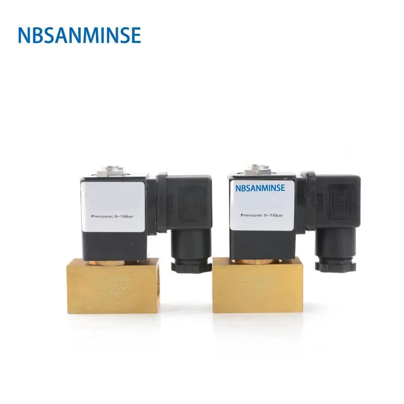 NBSANMINSE CS-720W Valvola in ottone a due vie G1/2 Compressore d'aria Valvola dell'acqua Valvola di scarico automatica Acqua DC24V AC220V