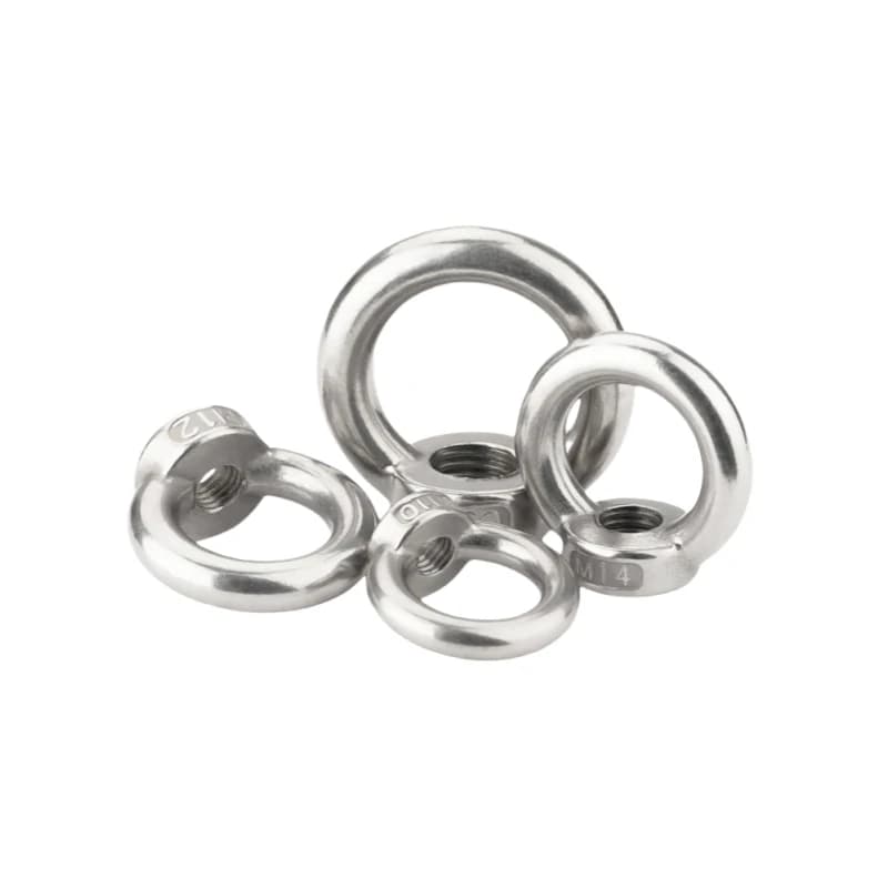DIN582 M3 M4 M5 M6 M8 M10 Dado ad occhiello in acciaio inossidabile 304 Marine Lifting Eyenut Anello Dado Foro per cavo di sollevamento fune
