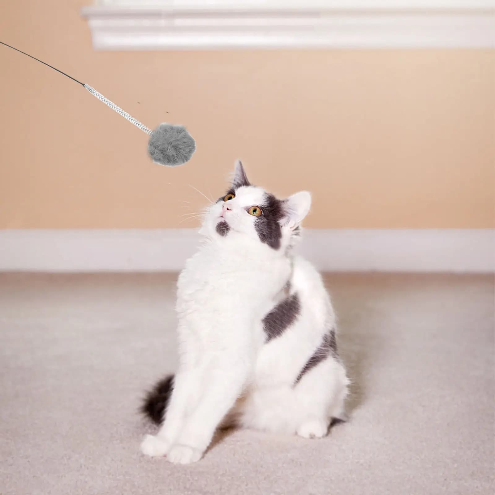 6 Pezzi Palline Interattive a Molla per Gatti, Accessori per Alberi per Gatti da Interno, Gioco Autonomo, Arricchimento, Morso e Graffio