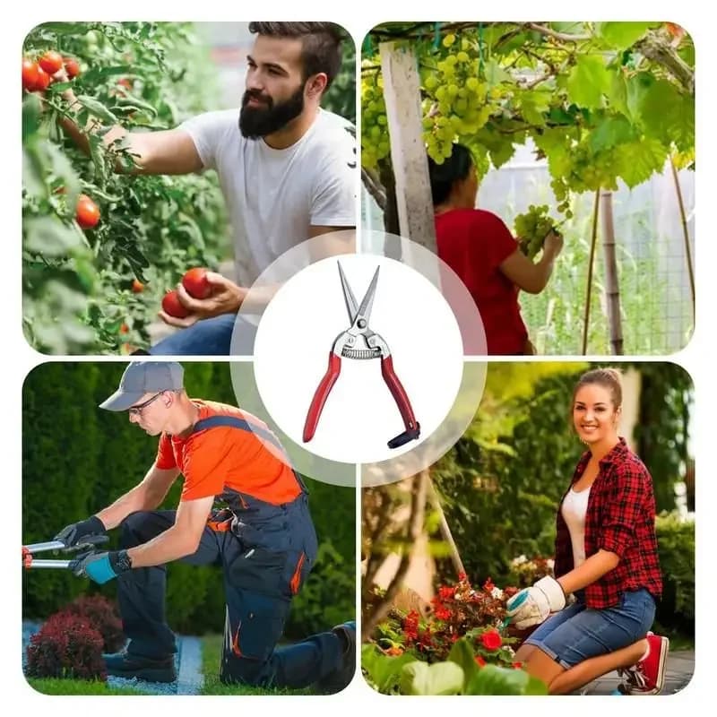 1 pcs garden scissors strong pruning branches for garden tools scissors to sharpen fruit trees in stainless steel