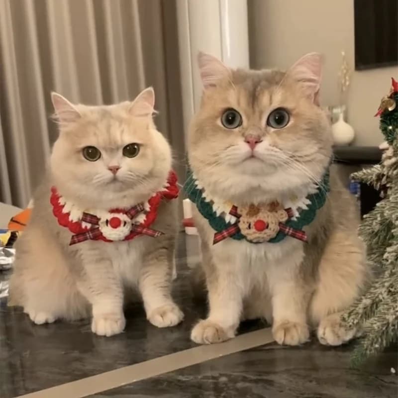 Pet collar, cat headband, cat and dog cute outfits, knitted wool scarf, bow tie, Christmas decoration, pet photo accessory