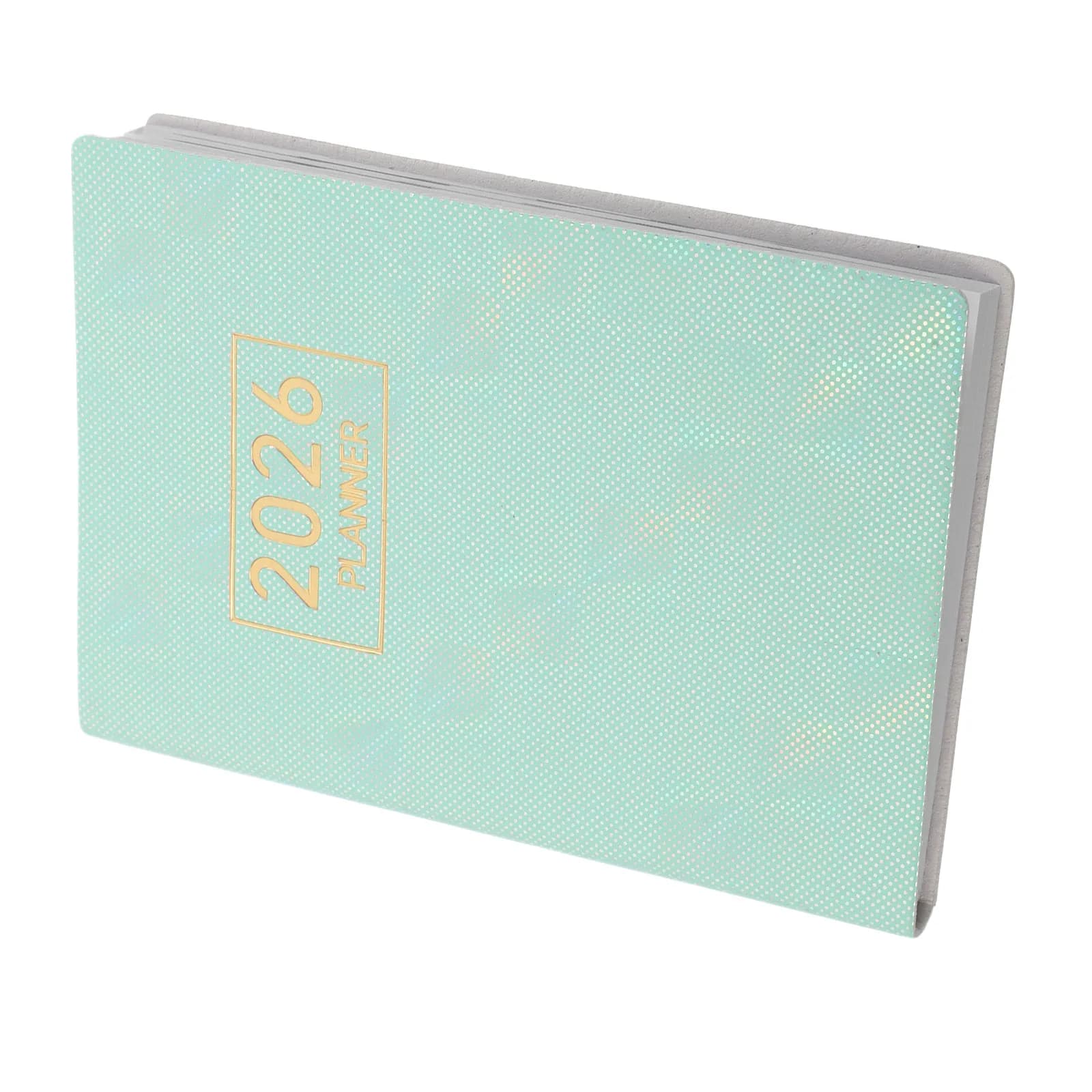 Agenda Tascabile A7 2026, Mini Taccuino Giornaliero Compatto e Portatile, Calendario in Inglese per Viaggi, Studio e Pianificazione Aziendale