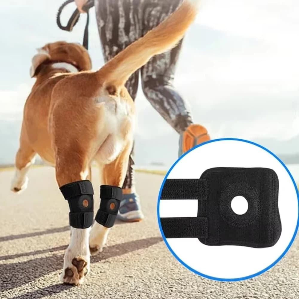 Protezioni per Ginocchia di Cani, Supporto per Recupero da Infortuni, Protezione per Articolazioni, Fascia Traspirante per la Salute delle Zampe