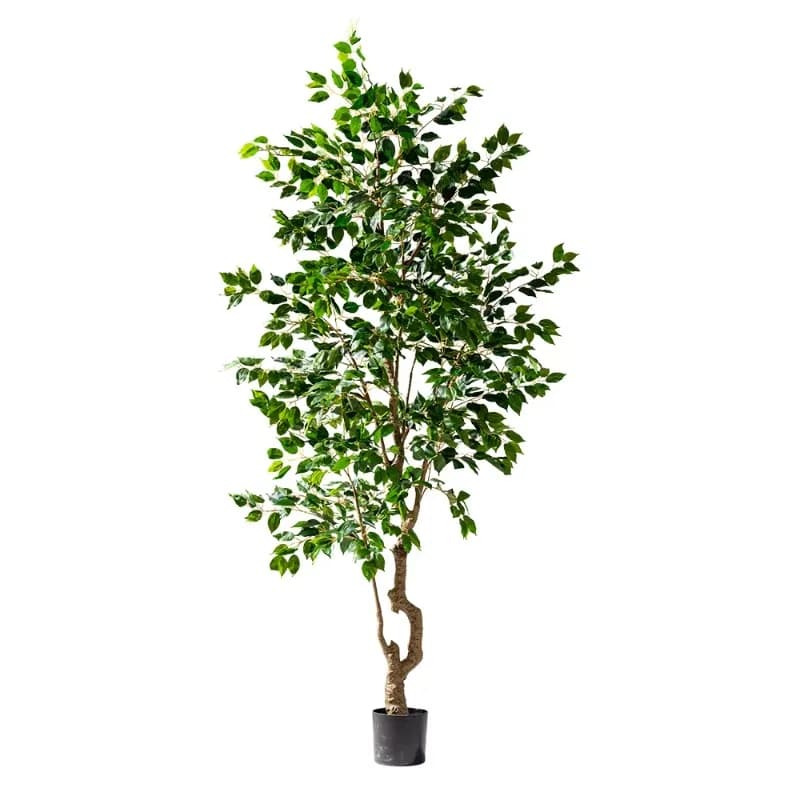 Piante artificiali in vaso da 6 piedi per interni/esterni Palma di erba verde gialla per la decorazione dell'home office Compleanno Ampio spazio