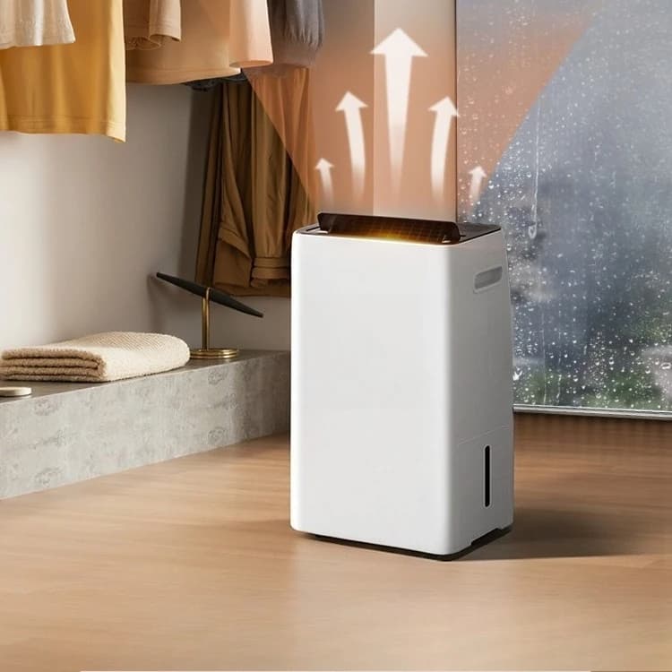 Deumidificatore domestico Camera da letto silenziosa Abbigliamento ad aria secca Seminterrato