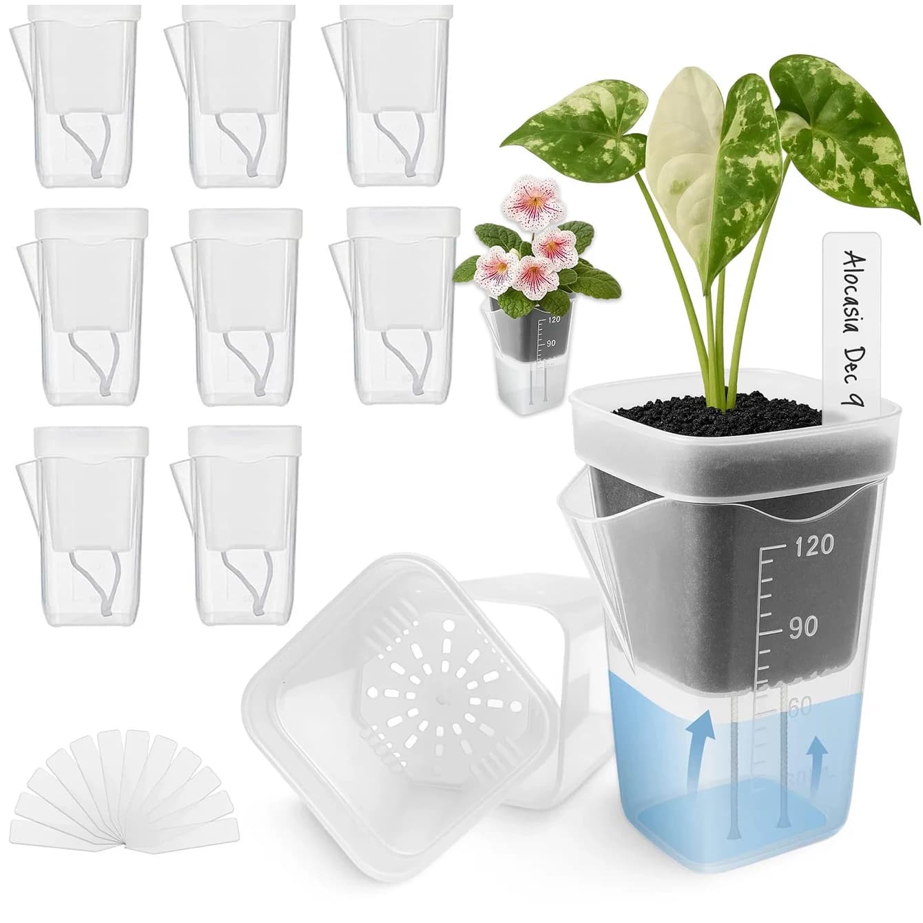 Autoirrigating Vases for Indoor Plants, Set of 2/10/15 Pieces, Small Transparent Plastic Containers, for Plants and Semenzai, with Water Level Indicator and Draining Hole