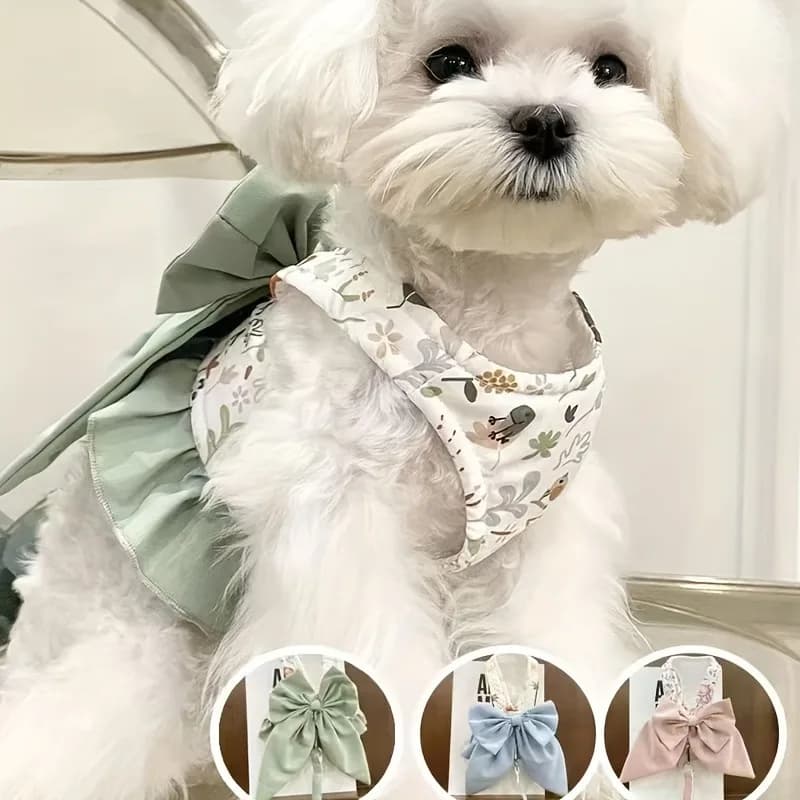 Pettorina per cani Pettorine e indossa collane Collare per cani Collare per animali domestici Cose per gatti Accessori per cuccioli Set di guinzagli Collari Gilet