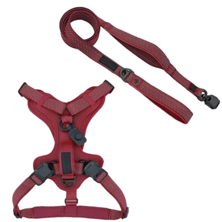 Set Pettorina e Guinzaglio Piatto per Cani Quick Clip, Rosso, con Fibbia Magnetica Piccola, Riflettente, per il Controllo