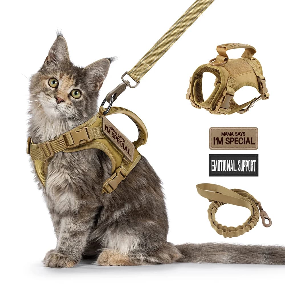 Imbracatura Tattica per Gatti con Guinzaglio e 2 Patch, Pettorina per Cani Piccoli e Cuccioli con Maniglia, Accessori Regolabili per Addestramento e Lavoro