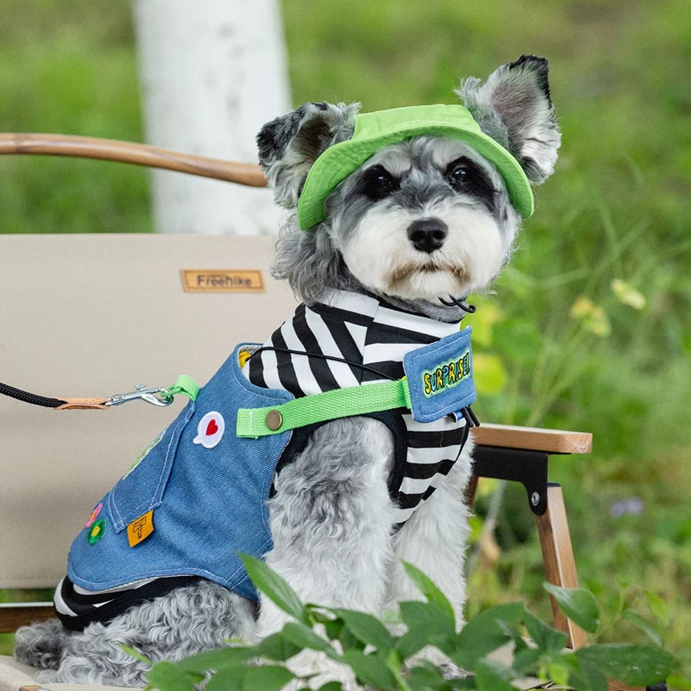 Gilet di corda di piombo per cani e gatti regolabile alla moda Primavera Estate Camminata all'aperto Comodo guinzaglio di piombo per accessori per animali domestici di piccoli gatti