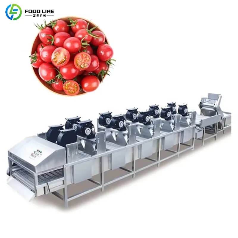Custom Commercial Dryer for Fruit and Vegetables with Conveyor, Stainless Steel, with Multipli Fans and Wheels