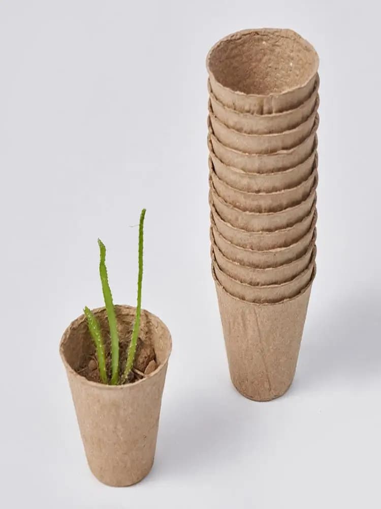 Vasi Biodegradabili in Polpa Vegetale, Contenitori per Semina, Traspiranti per la Crescita delle Radici, Rotondi e Quadrati, per Giardinaggio Domestico