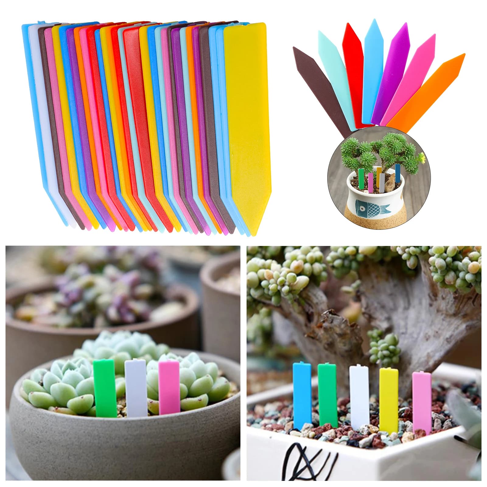 Etichetta per piante da giardino freccia in plastica segno vivaio vassoio per piantine pennarello fiore Bonsai targa strumento per giardinaggio fai da te colori multipli
