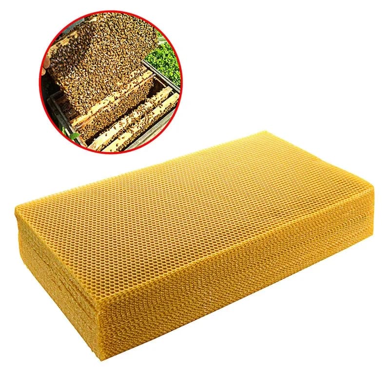 30 pz/pacco Ape Pettine Prodotti di Base A Nido D'ape Cera D'api 415*200mm Alveare Cornici di Cera Fogli di Base Alveare Alveare Miele telaio foglio di cera d'api