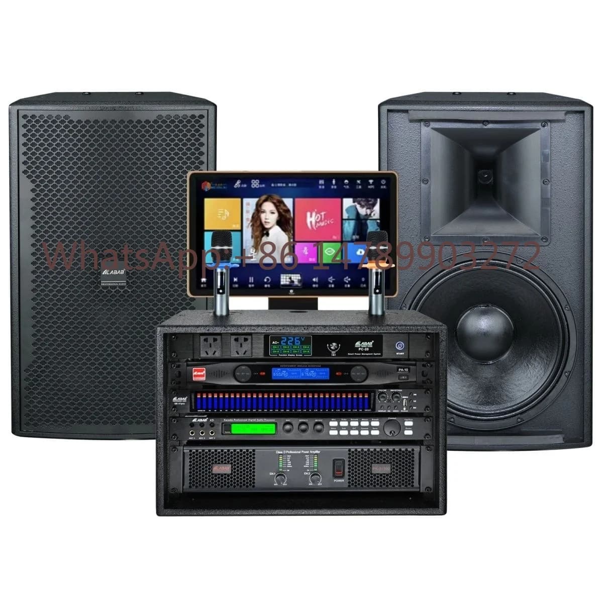 Set di Altoparlanti Professionali per Karaoke Domestico, Alta Potenza, Bassi Profondi, LED RGB, Sistema Completo per Canto Domestico con Alimentazione a Batteria