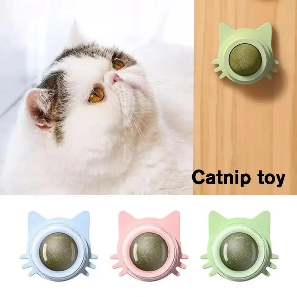 2024 Girevole Erba Gatta Palla Giocattolo Naturale Promuovere La Digestione Gatto Parete Stick-on Sano Leccare Zucchero Giocattolo Gattino