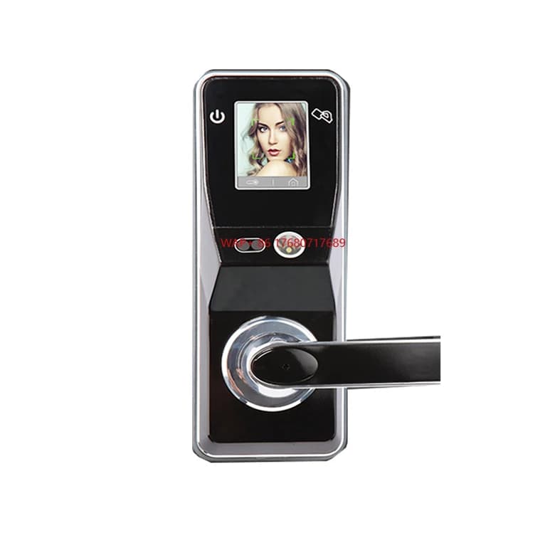 Serratura biometrica intelligente con ottica IR Riconoscimento facciale Impronta digitale e chiave/carta Porta in alluminio con password per uso domestico