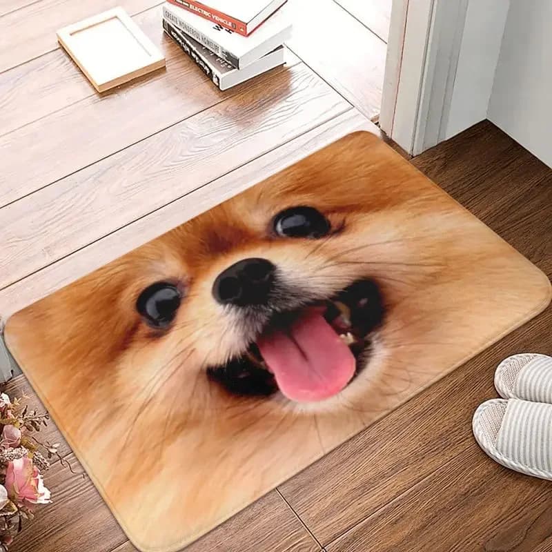 Pomerania Cucciolo Porta del Pavimento Cucina Tappetino da Bagno Antiscivolo per Esterni Spitz Pom Dog Zerbino Giardino Ingresso Tappeto Tappeto Tappetino