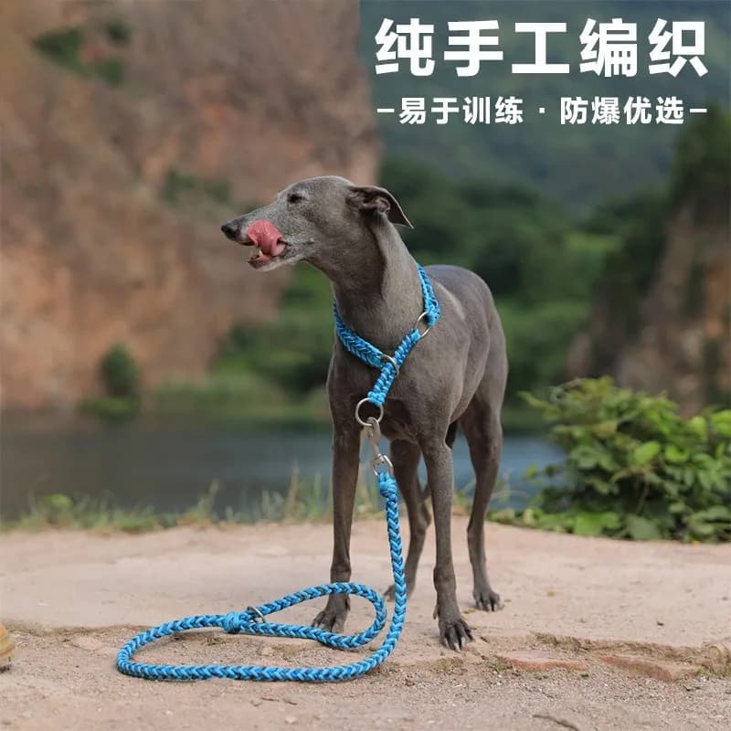 Dog LeaseHandwoven Half P Collar Dog Chain Pet Collar Traction LeaseMedium and Large Dogs