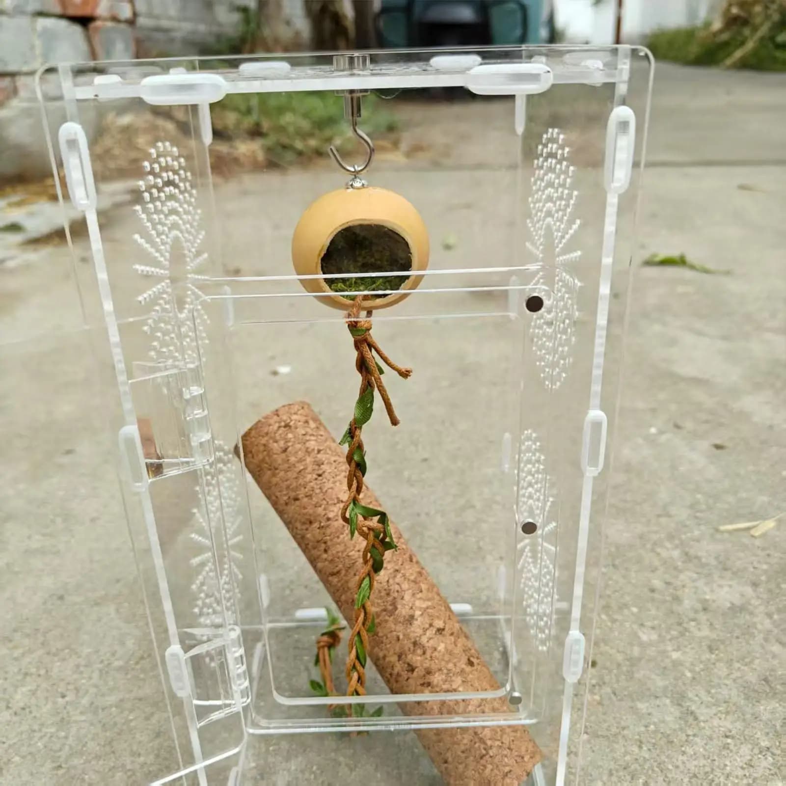 Accessories for Jumping Spider Enclosures Climbing Rope Curtain Accessories for Spider Enclosures Housing Decoration for habitat for ridge geckos