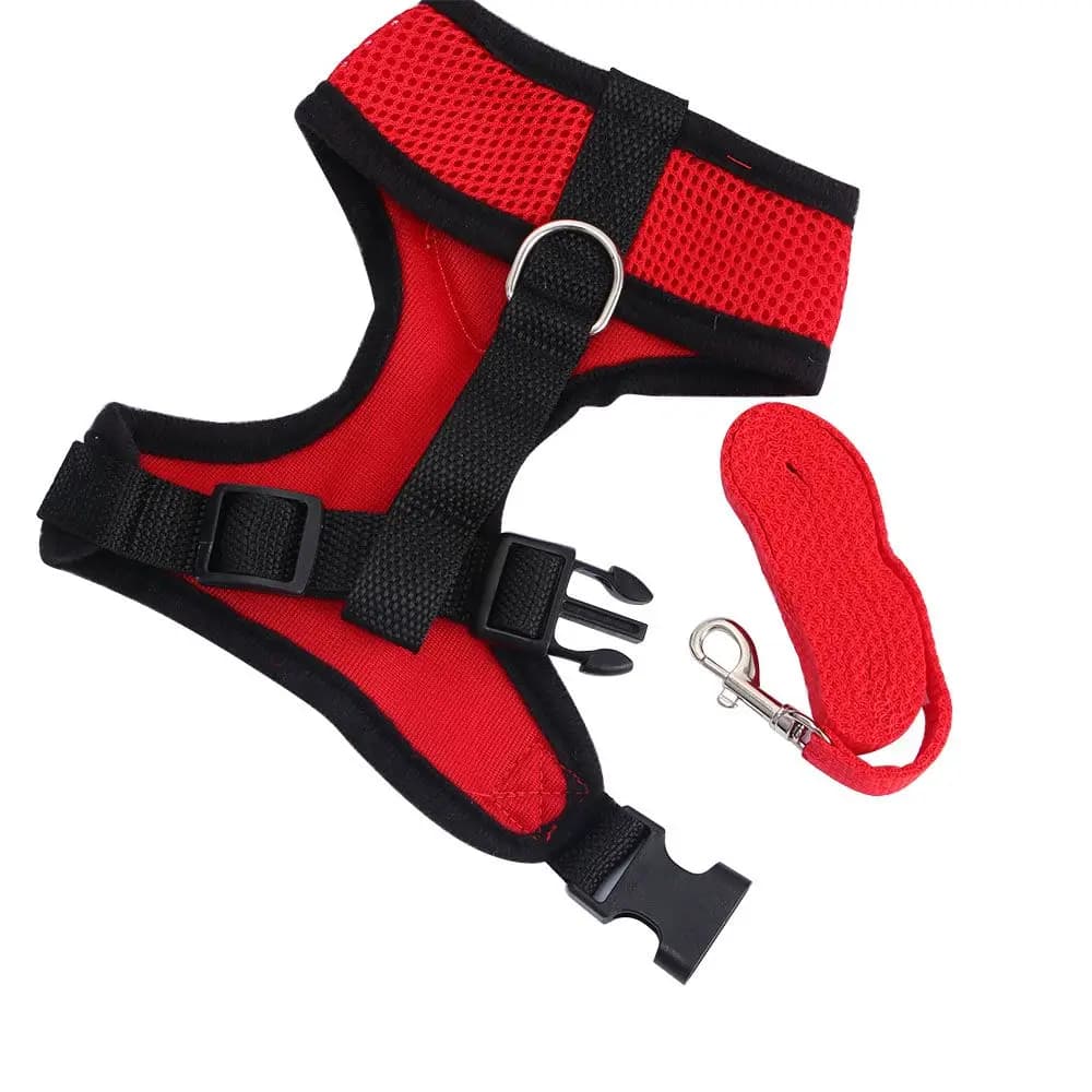 Prodotti per animali domestici: Pettorina in morbida rete per gatti, accessori per cuccioli e cani, collare per gatti, gilet per cani, guinzaglio