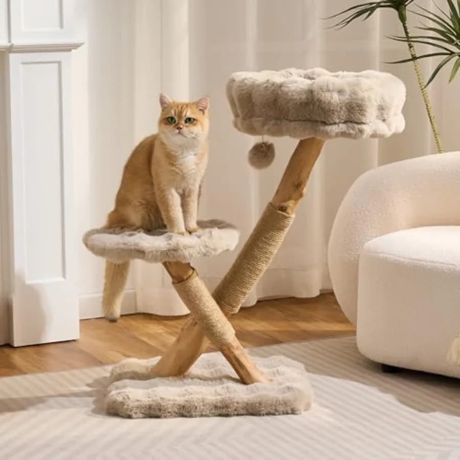 Albero per Gatti in Legno Naturale, Moderno e Robusto, per Gatti da Interno, con 33 Rami in Legno di Pero, Estetico e con Tiragraffi