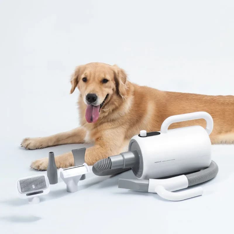 Hairdryer for pets Hair dryer for large dogs with low noise Hairdryer for cats Pull up hair Hair dryer for puppies Hair dryer for pets