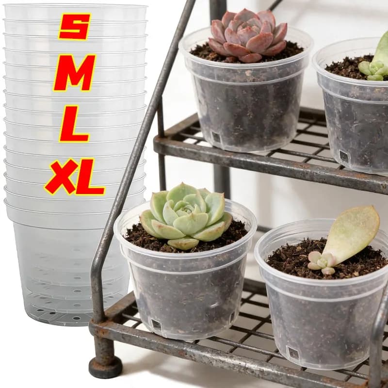 Set of 5 Transparent Vases for Semina with Draining Holes, for Interior and Exterior, in Plastic, for Garden and Home