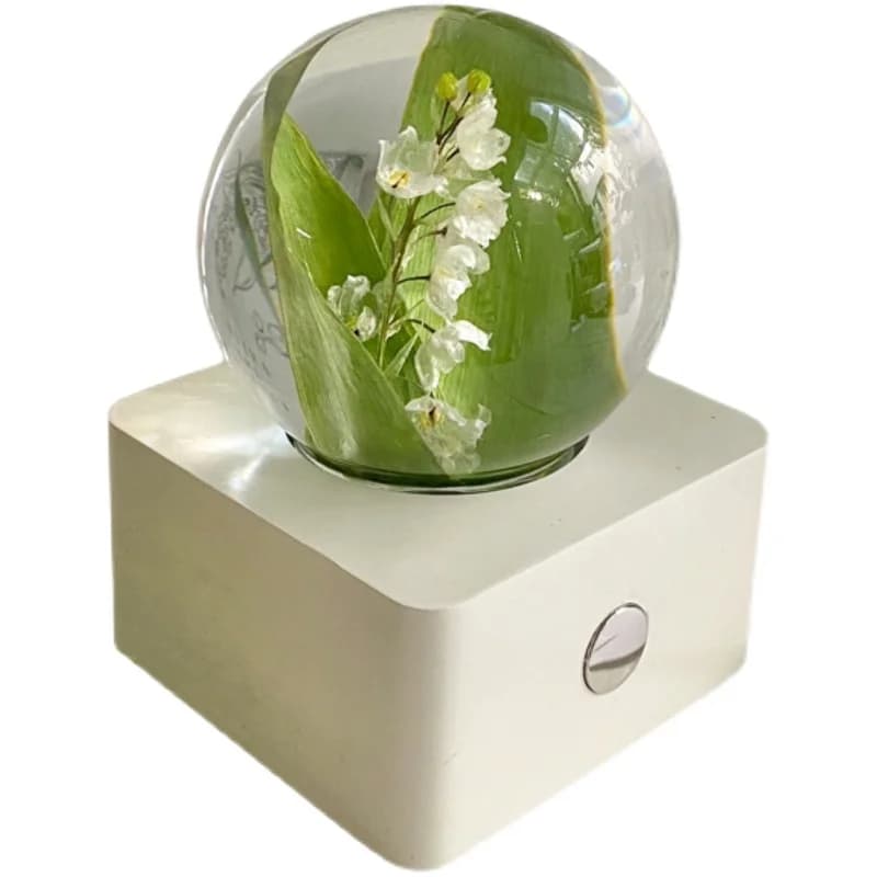Linglan Eternal Flower Nightlight Crystal Ball posizionamenti campioni di fiori veri per il compleanno della fidanzata