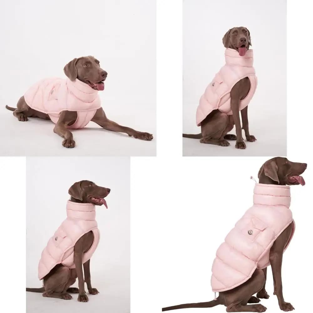 Cappotto Invernale per Cani, Leggero e Termoisolante, Resistente all'Acqua, Regolabile con Accessorio per Guinzaglio, per Razze Piccole e Grandi, Rosa