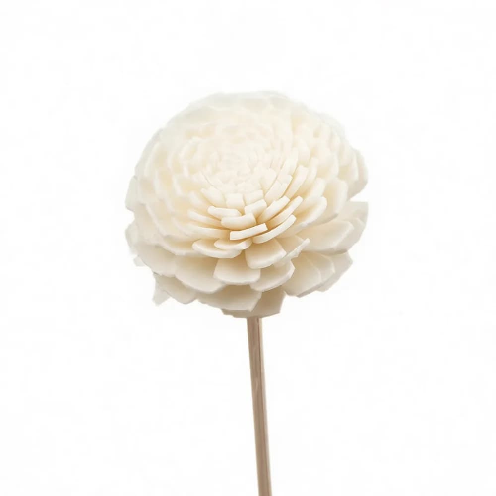 Handmade Sola Wood Flower Dried Artificial Plant Ornament Diffuser Accessory Aesthetic Home Office Bedroom Tabletop Decor