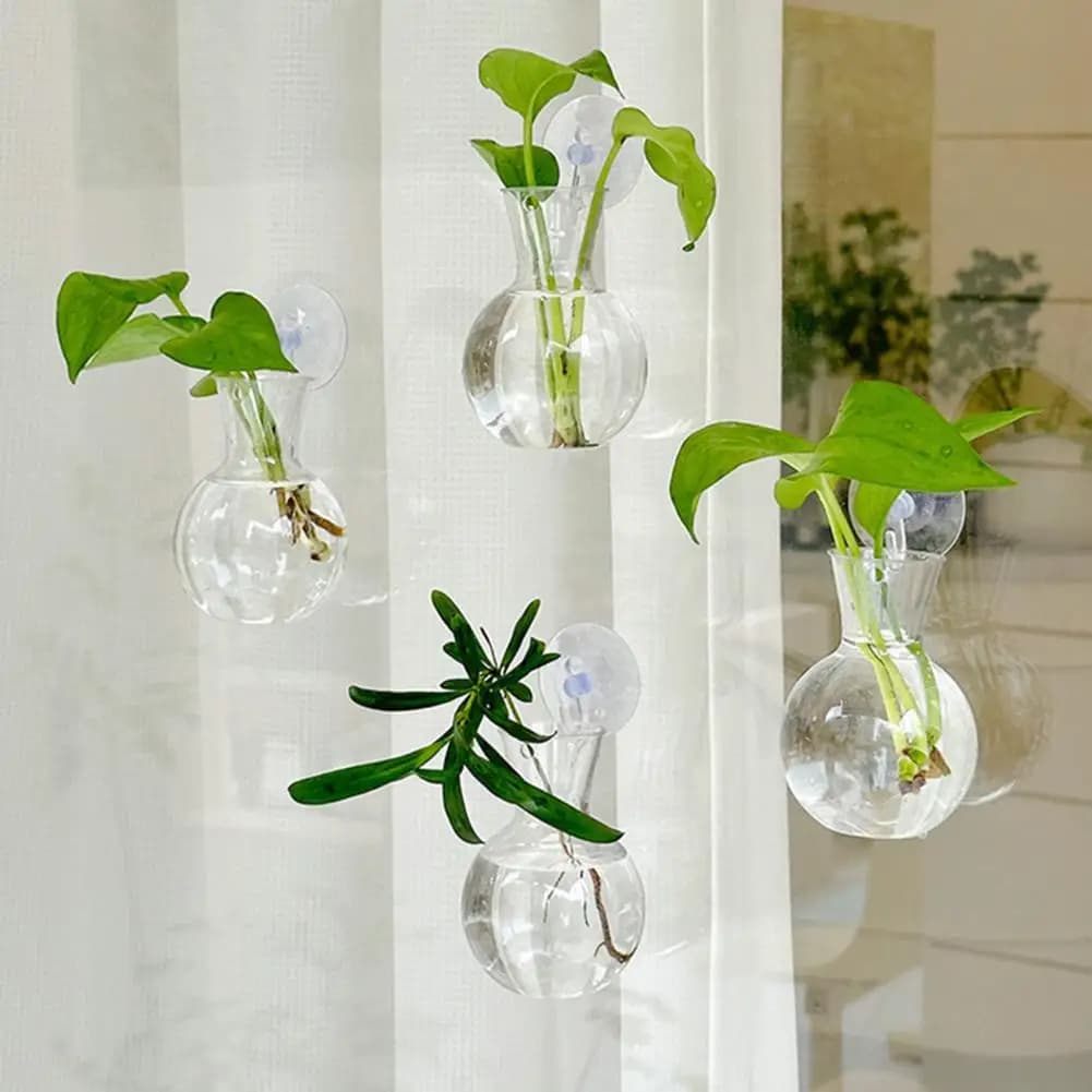1/2/3/4/6/8Pcs Plant Propagation Bulb with Suction Cup Transparent Propagation Planter Terrarium Vase Window Propagation Station