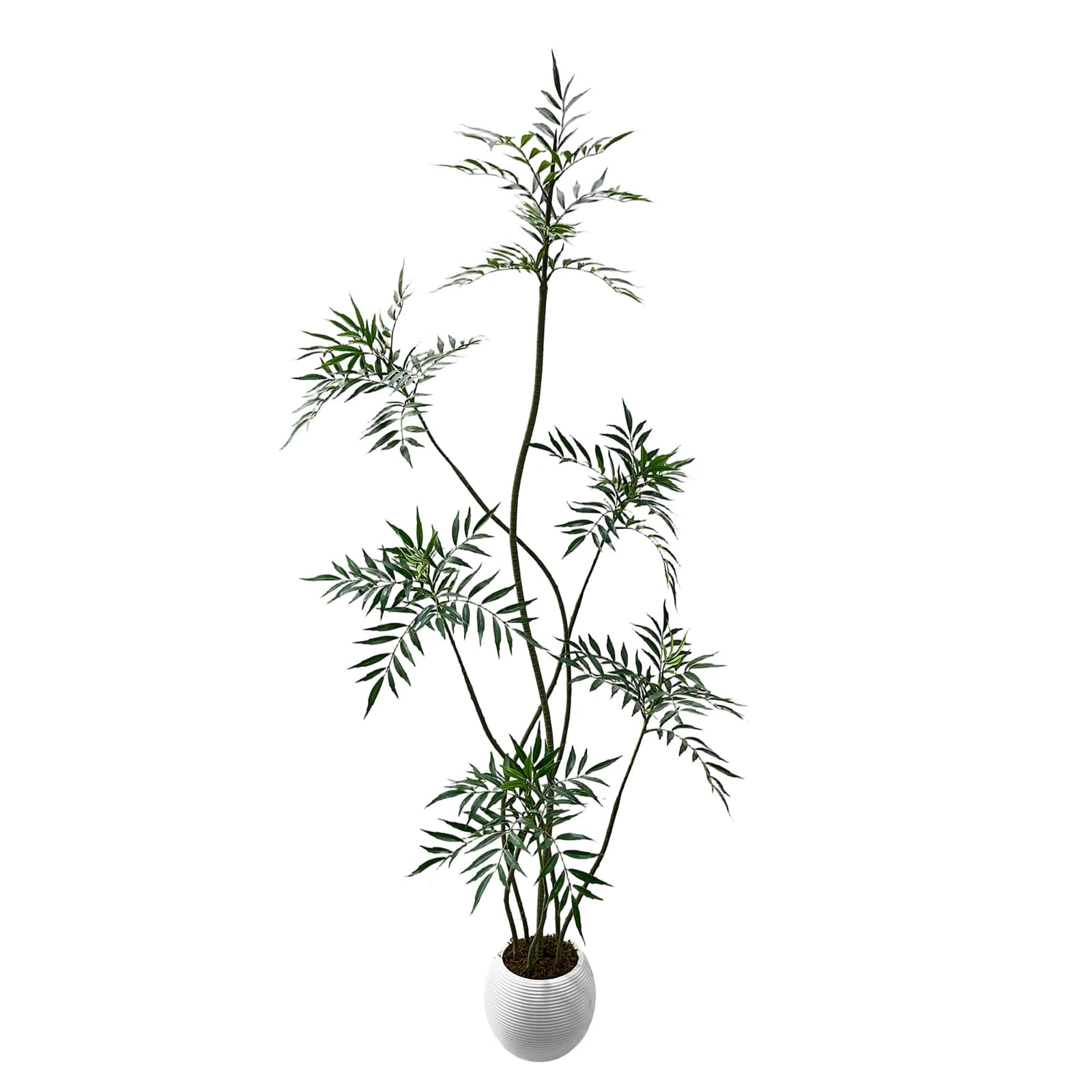 S-shaped artificial rubber tree, real touch tropical plants with white vase decoration for living room, bedroom furniture