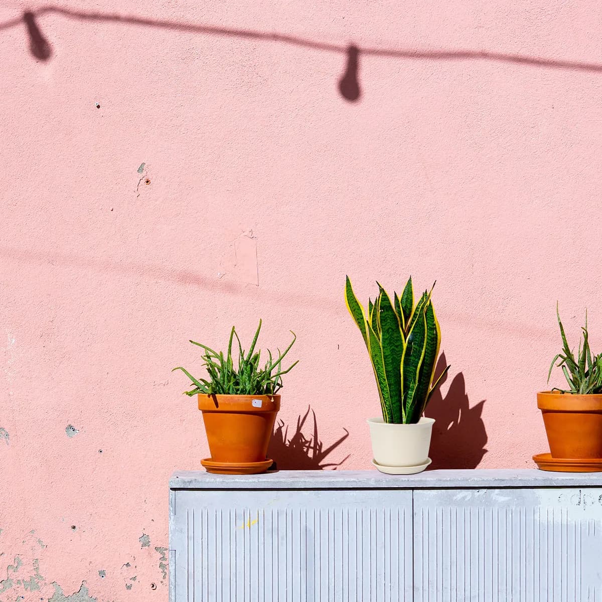 Resin Plastic Flower Pots Medium Apricot Nursery Planter Planter with Pallet for Succulent Herb Plant Small Pots Garden
