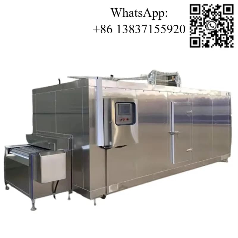 Congelatore a Tunnel IQF Personalizzato per Pasta, Carne, Frutti di Mare - Macchina per Congelamento Rapido Individuale