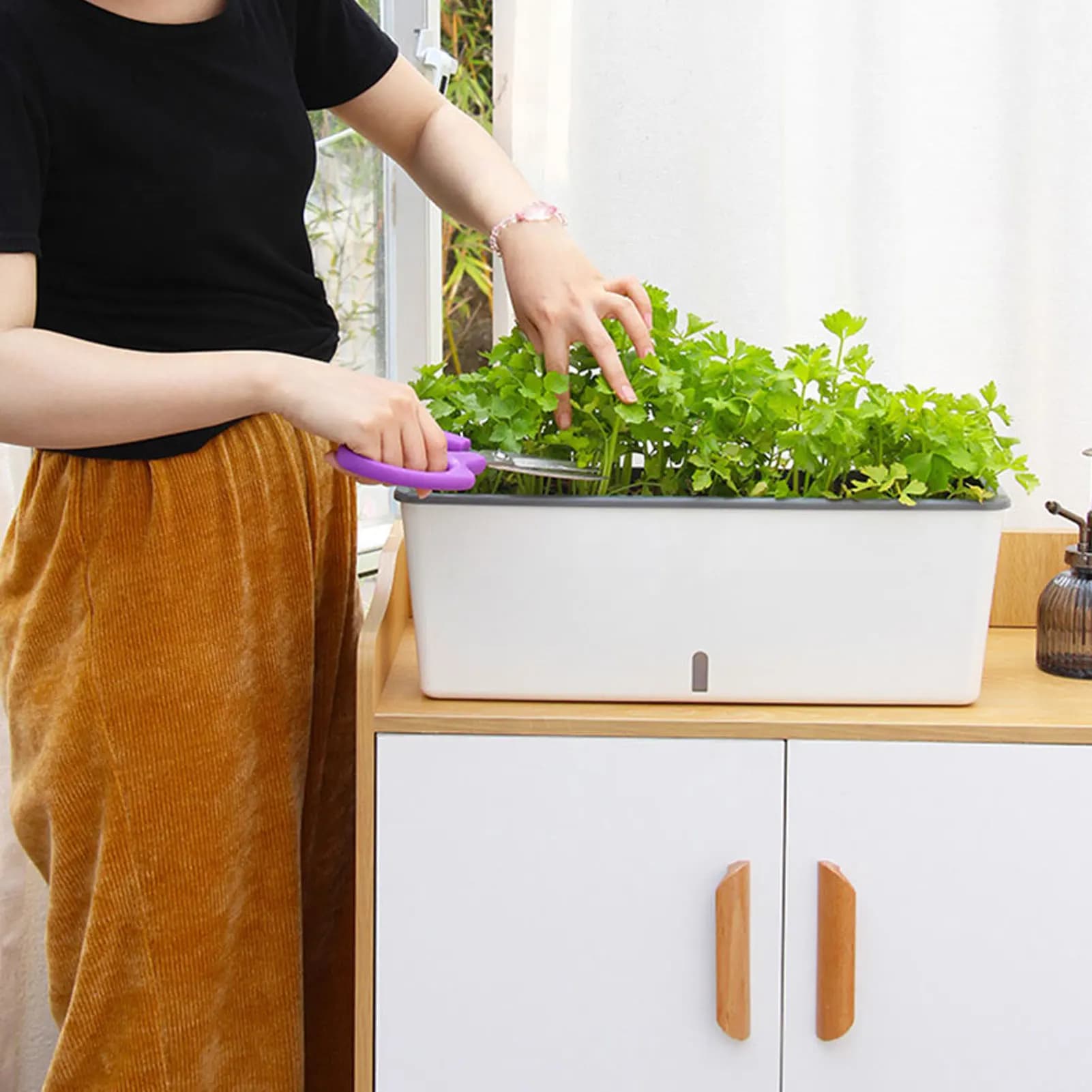 Self-irrigating planter jars with handy water level indicator for vegetable oil seeds