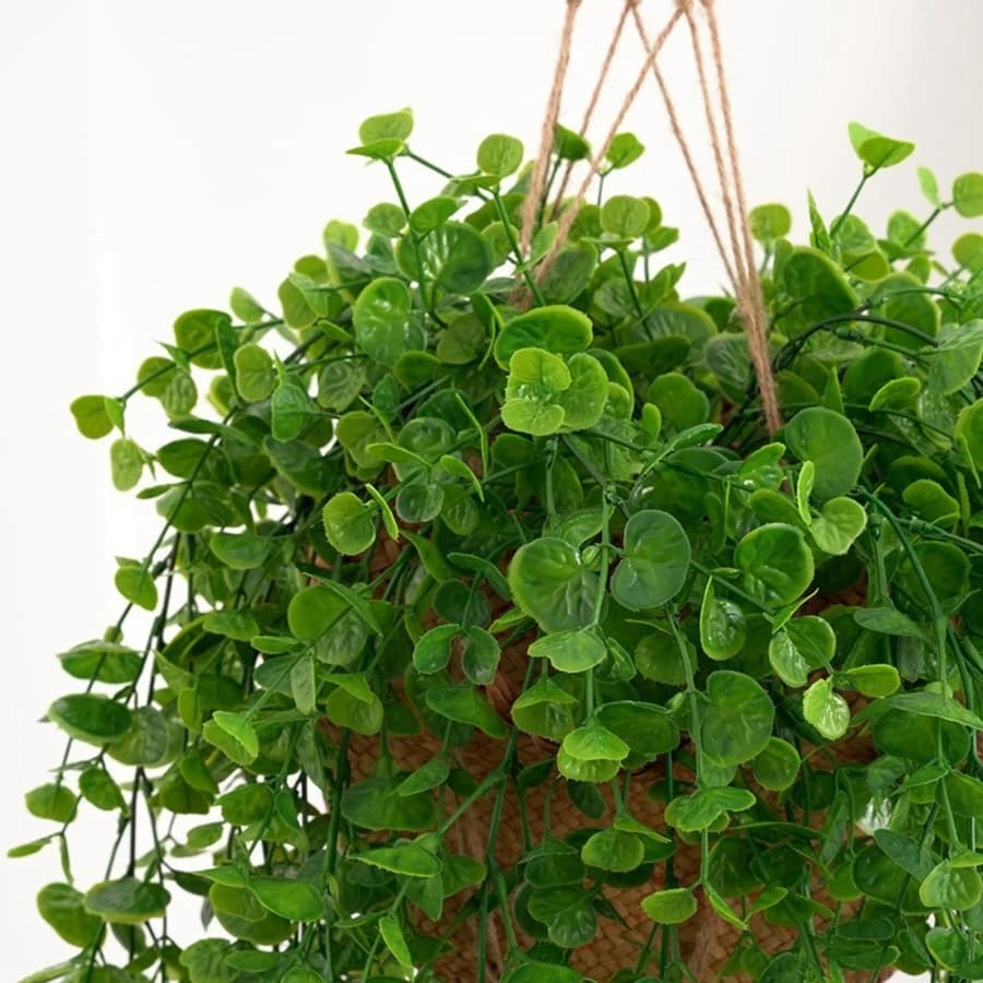 Artificial Plants Green Leaves Eucalyptus Edera for Home Decorations, Valentine's Day, Weddings, Exterior Garden, Arco and Pareti