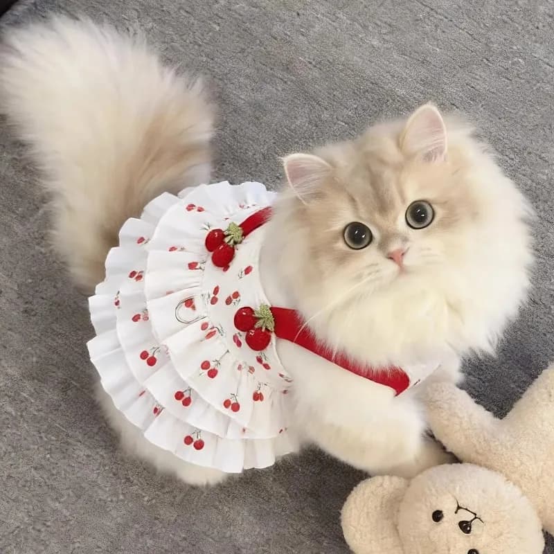 Vestito Estivo Sottile e Traspirante per Animali Domestici, Gonna Principessa Carina Stile INS per Gatti, Cani di Piccola Taglia, Teddy, Bichon, Pomeranian, Cuccioli
