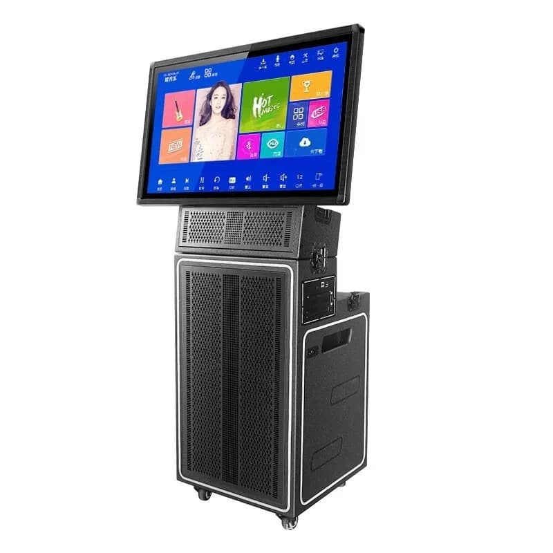 Jukebox Portatile con Schermo, Macchina Karaoke All-in-One Pro con Schermo e 2 Microfoni Wireless