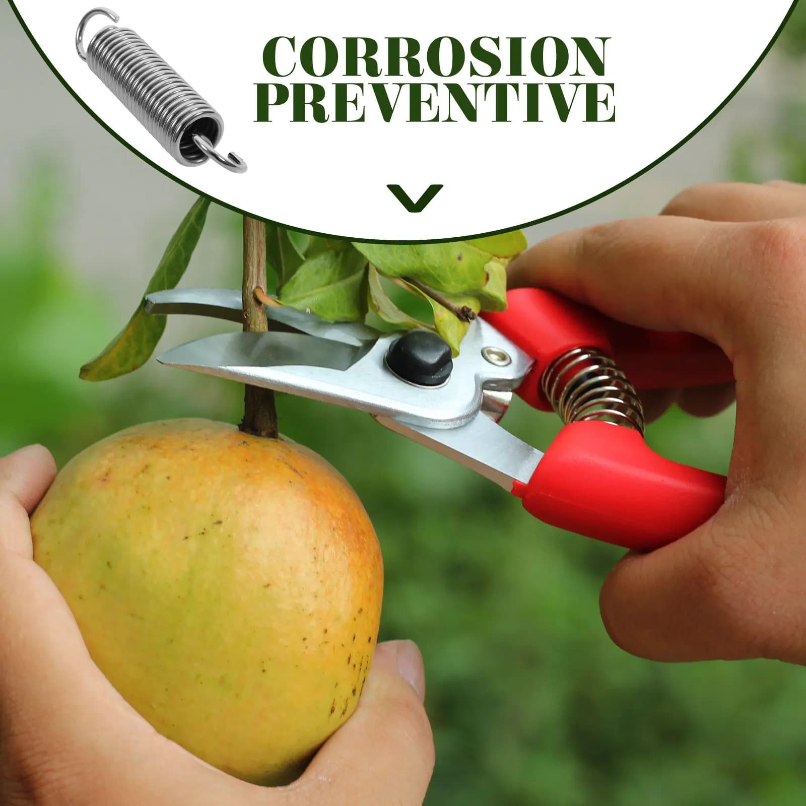 10 Pezzi Molle di Ricambio per Forbici da Giardino, Molle in Acciaio Inossidabile Resistenti per Cesoie da Potatura, Parti di Ricambio per Utensili da Giardinaggio