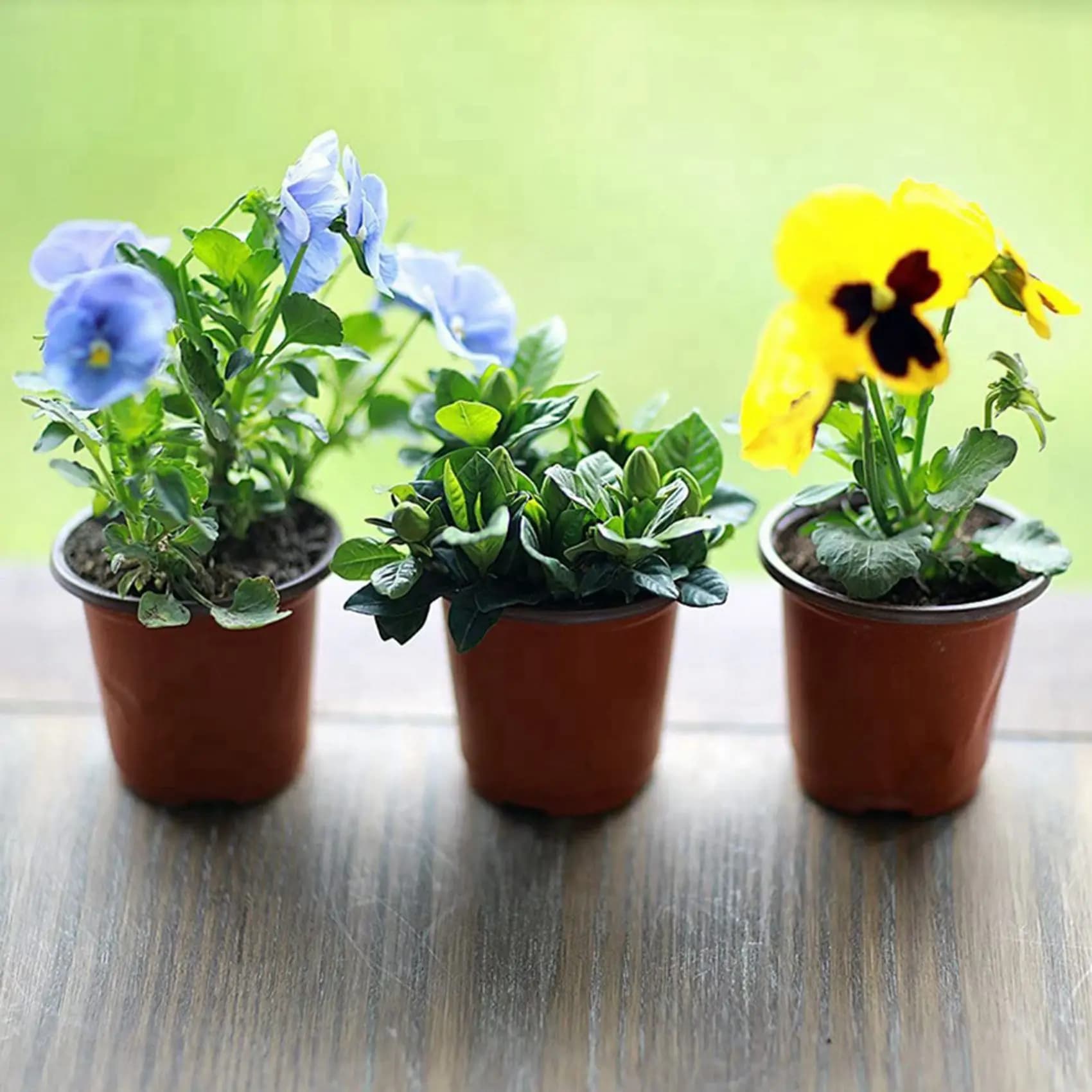 B03C-300 Pz 4.72 inches plastic flower seedlings supplies for planter planter pots / jars