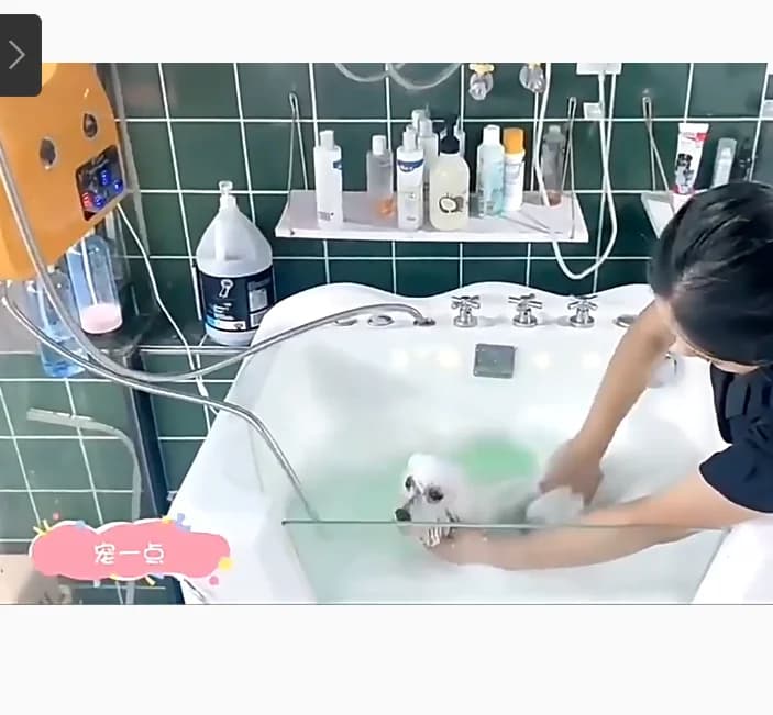 Attrezzatura Veterinaria Multifunzione, Kit per Clinica per Animali, Macchina Sostenibile per Toelettatura Cani, SPA a Bolle, Lavaggio e Shampoo, Nano Latteo per Cani e Gatti