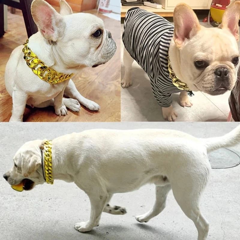 Collare per cani con catena d'oro larga e resistente, elegante accessorio per gioielli di moda per animali domestici
