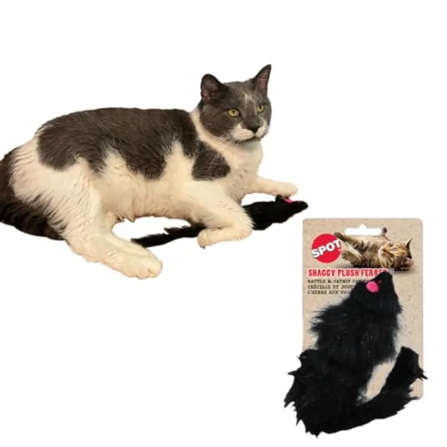 Giocattolo Interattivo Peluche Shaggy con Sonaglio e Erba Gatta per Gatti e Gattini da Interno, Misura Grande 11 Pollici, Perfetto per il Gioco