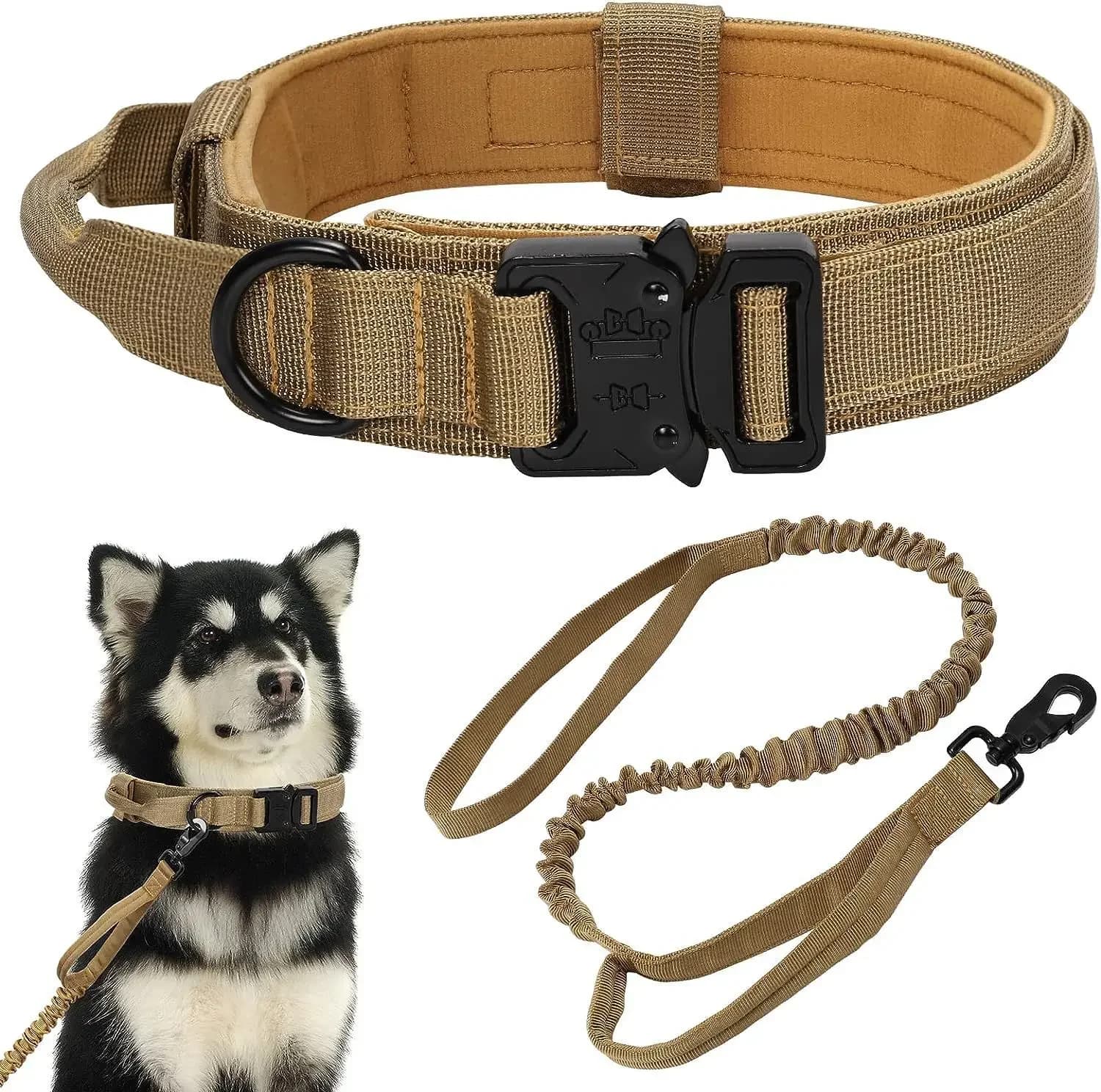 Set di 2 collari e guinzagli per cani resistenti, collare regolabile in nylon con fibbia in metallo e anello a D, guinzaglio riflettente per addestramento.